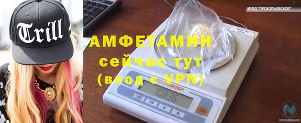 индика Коряжма