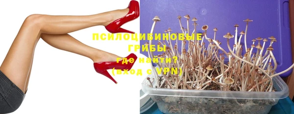 ПСИЛОЦИБИНОВЫЕ ГРИБЫ Корсаков