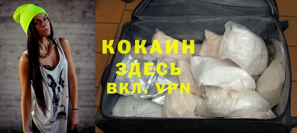 индика Коряжма