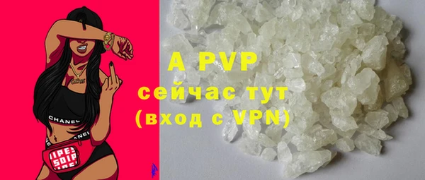 ПСИЛОЦИБИНОВЫЕ ГРИБЫ Корсаков