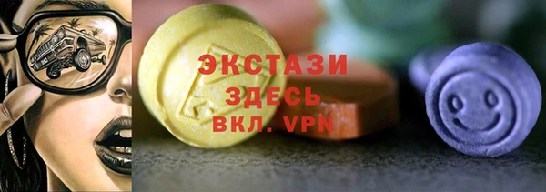 индика Коряжма