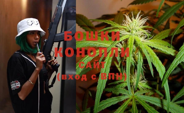 ПСИЛОЦИБИНОВЫЕ ГРИБЫ Корсаков