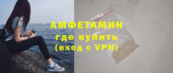 индика Коряжма