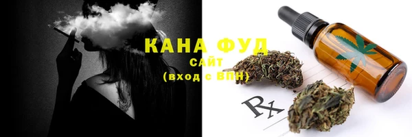 индика Коряжма
