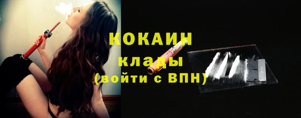 ПСИЛОЦИБИНОВЫЕ ГРИБЫ Корсаков