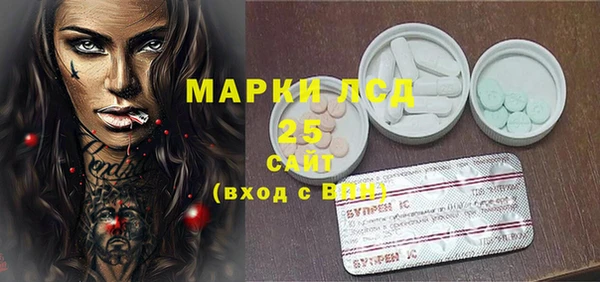 индика Коряжма