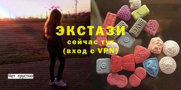 индика Коряжма