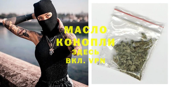 индика Коряжма