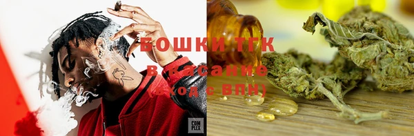 ПСИЛОЦИБИНОВЫЕ ГРИБЫ Корсаков